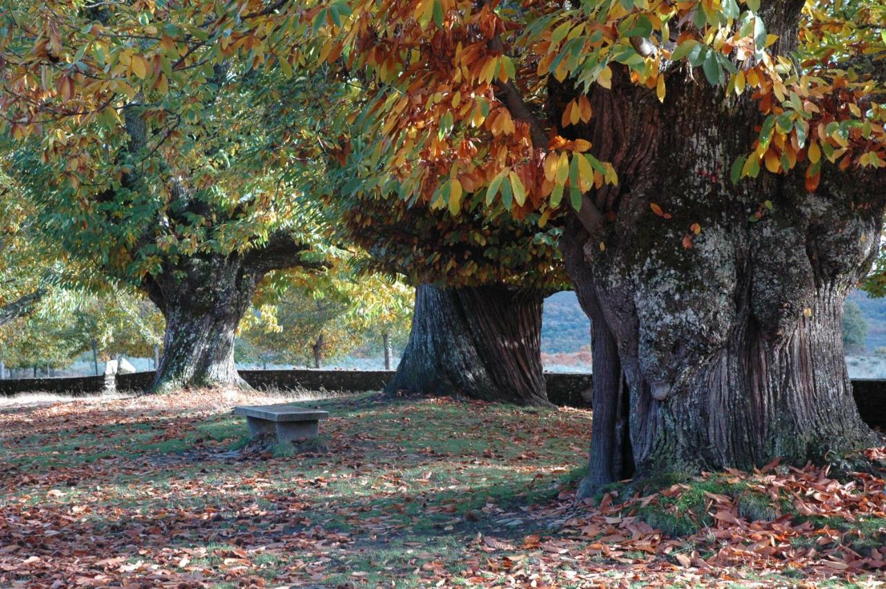 Willa La Era De Sanabria Villarino de Sanabria Zewnętrze zdjęcie