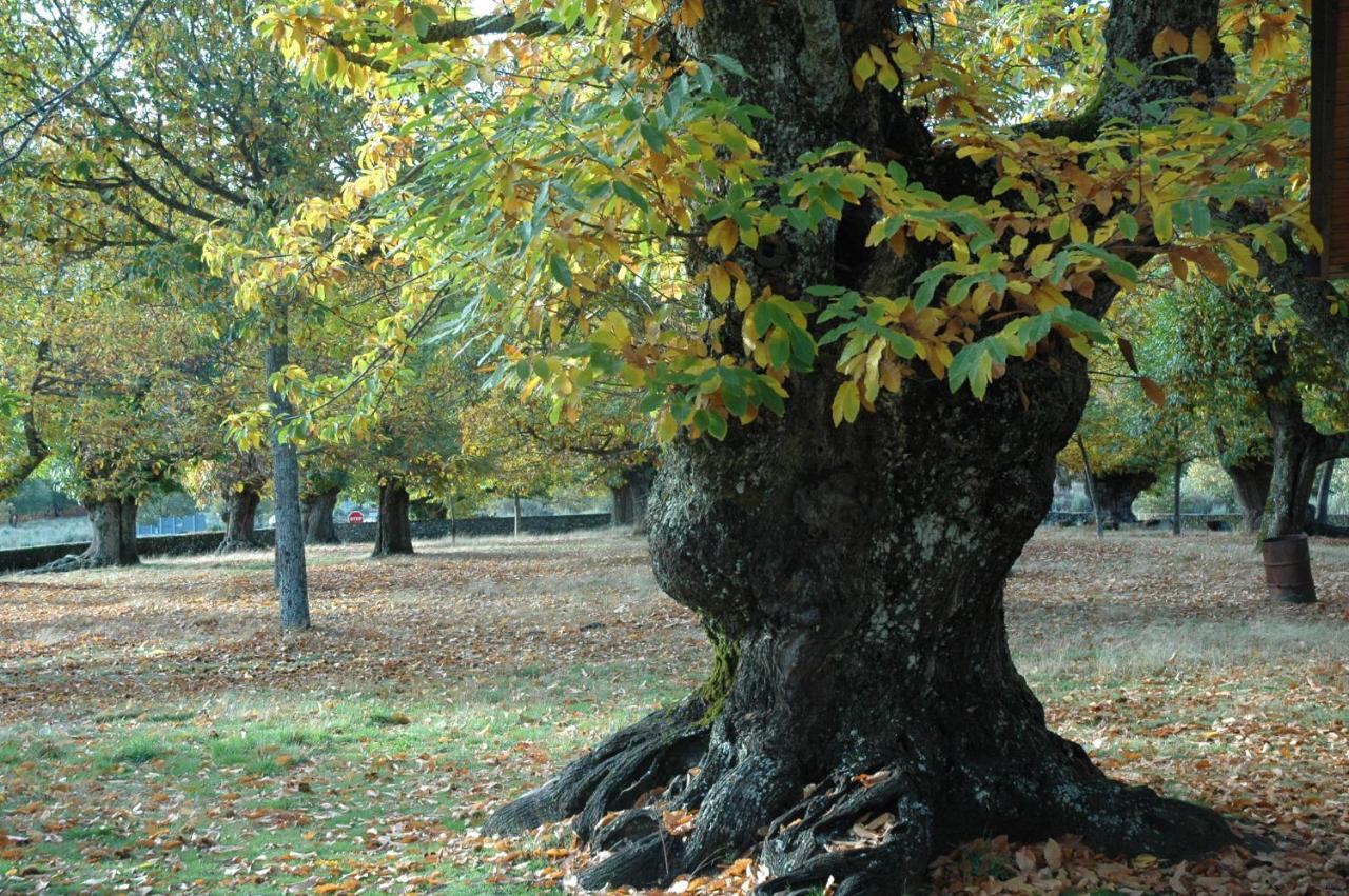 Willa La Era De Sanabria Villarino de Sanabria Zewnętrze zdjęcie